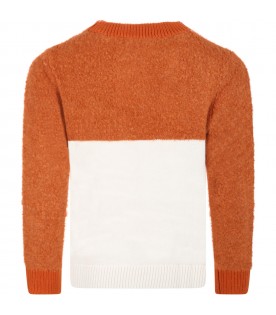 Multicolor sweater for boy with fox